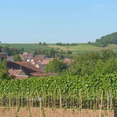 Pfaelzerleben Palatinate Experience Holiday home Oberotterbach