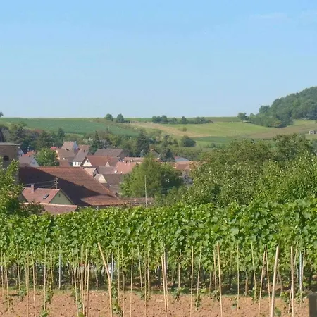 Pfaelzerleben Palatinate Experience Oberotterbach