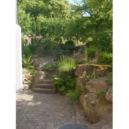 Pfaelzerleben Palatinate Experience