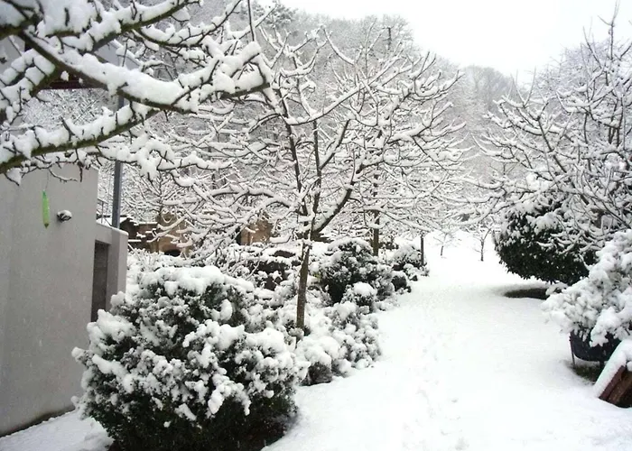 Pfaelzerleben Palatinate Experience *