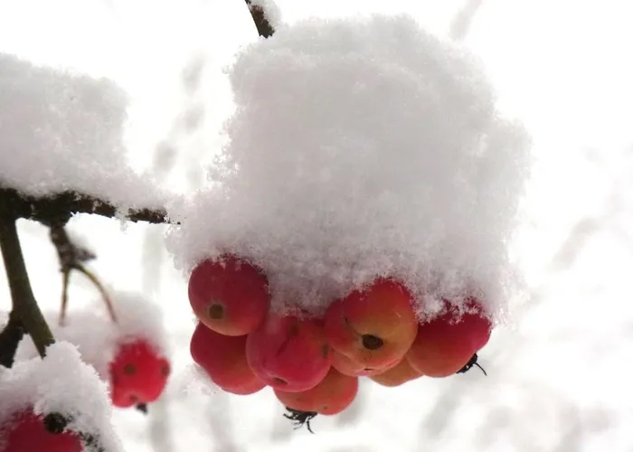 펜션 Pfaelzerleben Palatinate Experience *