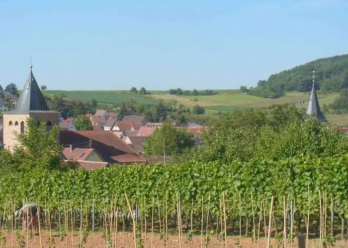 Pfaelzerleben Palatinate Experience Oberotterbach